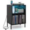 Record Player Stand with RGB LED Light Vinyl Storage Charging Station